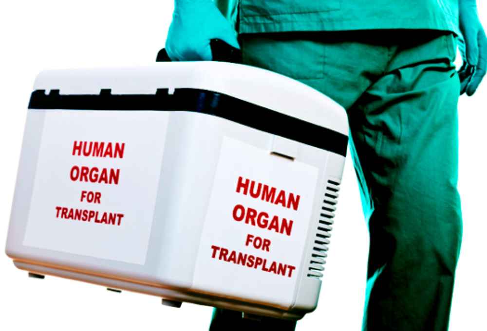 Donazione di organi e tessuti: 2022 anno record