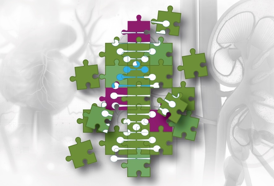  APPROCCIO MULTIDISCIPLINARE AL PAZIENTE CON MALATTIA DI FABRY 