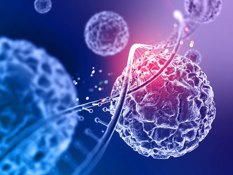 Hereditary tumors: from research to clinical practice