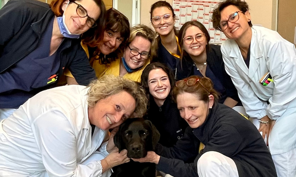  Pet Therapy: al letto del malato arrivano gli interventi assistiti con gli animali 